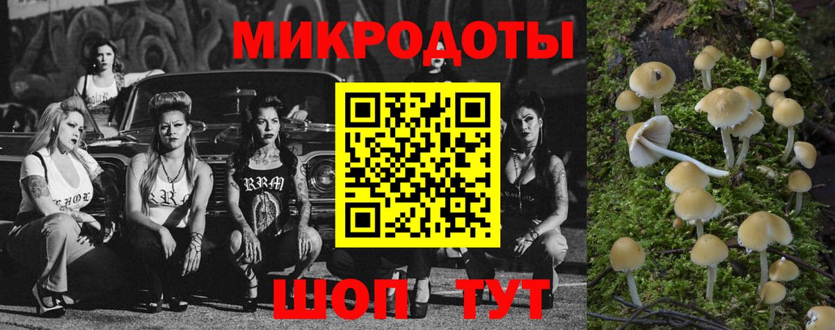 Псилоцибиновые грибы GOLDEN TEACHER Гуково