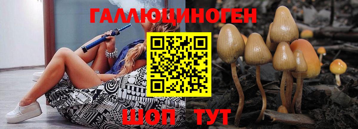Гуково  Галлюциногенные грибы GOLDEN TEACHER  Вход с VPN  Галлюциногенные грибы мицелий 